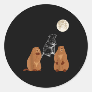 Pegatina Redonda Día de la Marmota Divertido Tres Marmota Luna Homb