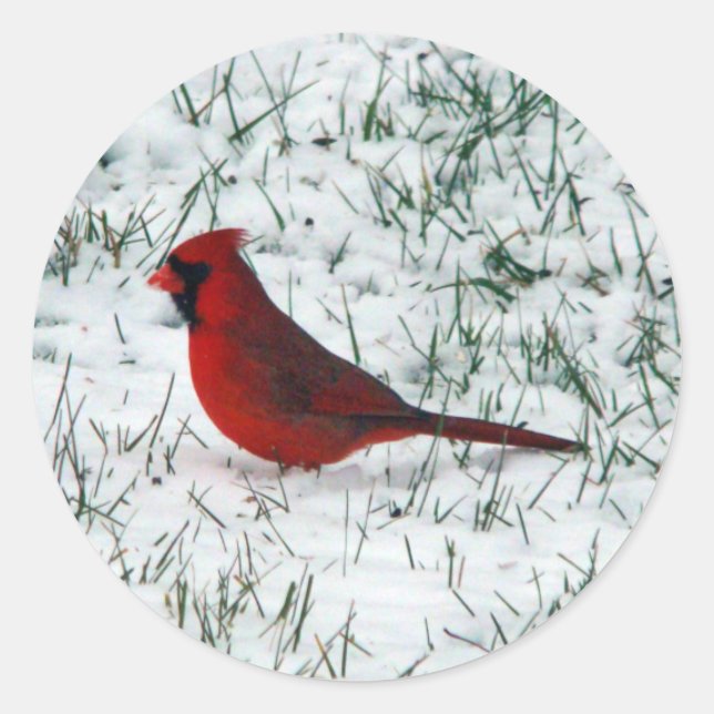 Pegatina Redonda Día de San Valentín Cardenal  (Anverso)