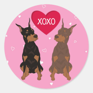 Pegatina Redonda Día de San Valentín Doberman Pinscher