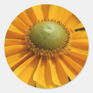 Pegatina Redonda Día soleado