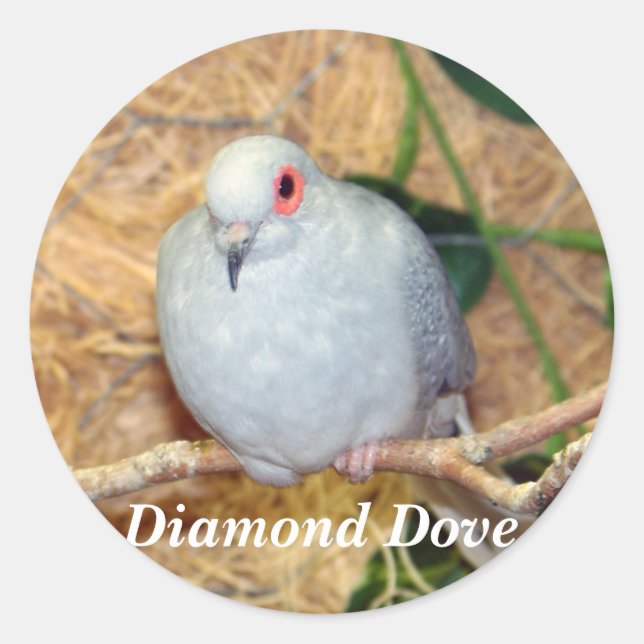 PEGATINA REDONDA DIAMOND DOVE (Anverso)