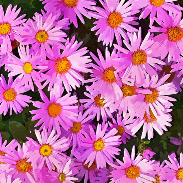 PEGATINA REDONDA DÍAS (A watercolor of pretty pink daisies. )