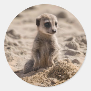 Pegatina Redonda "Días soleados: La aventura del bebé Meerkat en la