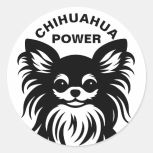 Pegatina Redonda Dibujo animado de Chihuahua lindo de pelo largo