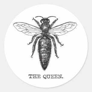 Pegatina Redonda Dibujo clásico del Ilustracion Queen Bee