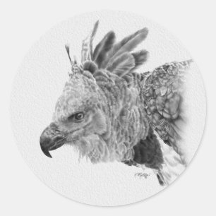 Pegatina Redonda Dibujo de águila arpía