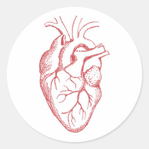 Pegatina Redonda Dibujo de anatomía del corazón humano