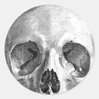 Pegatina Redonda Dibujo de boceto de la anatomía del cráneo humano
