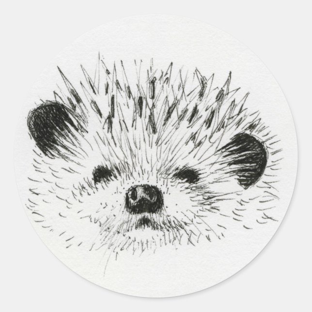 Pegatina Redonda Dibujo de Cute Hedgehog (Anverso)