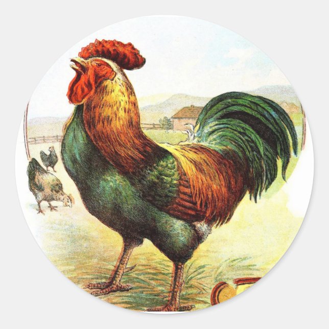 Pegatina Redonda Dibujo de época: El gallo (Anverso)