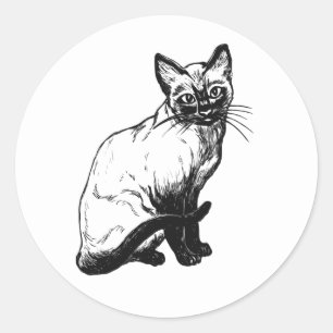 Pegatina Redonda Dibujo de gatito adorable gatito negro y blanco