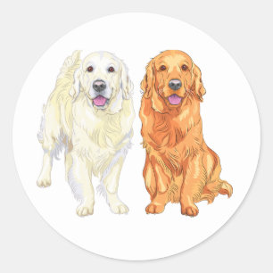 Pegatina Redonda Dibujo de perro retriever dorado y adorable cachor