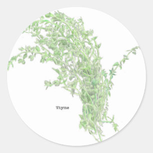 Pegatina Redonda Dibujo de tomillo