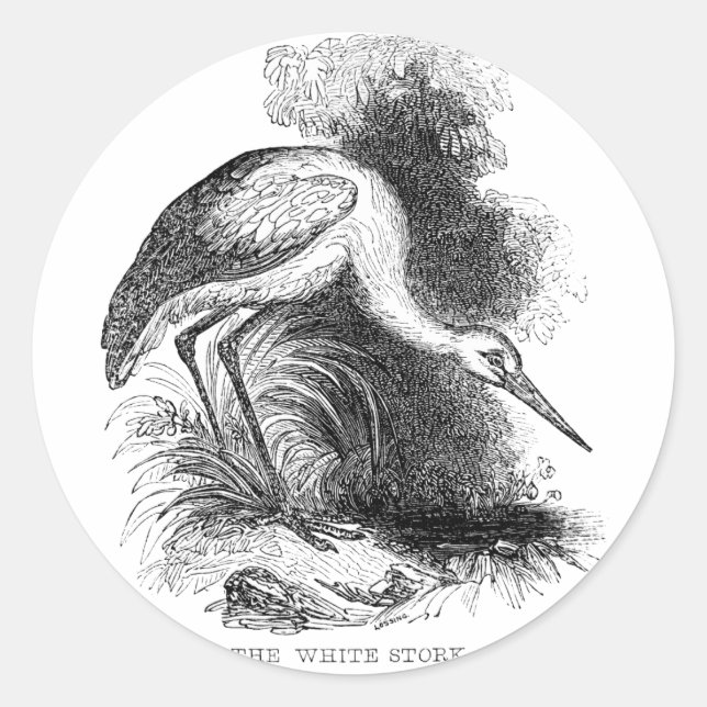 Pegatina Redonda Dibujo de vida salvaje de aves viejas de cigüeña b (Anverso)
