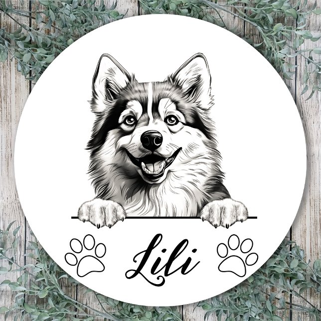 Pegatina Redonda Dibujo personalizado a mano de perro de Pomsky (Subido por el creador)