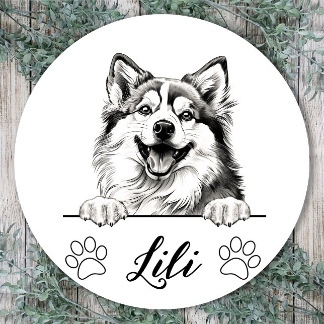 Pegatina Redonda Dibujo personalizado a mano de perro de Pomsky (Subido por el creador)