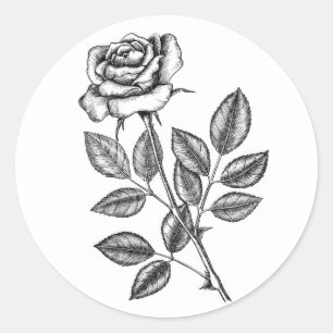 Pegatina Redonda dibujo Rosa 2