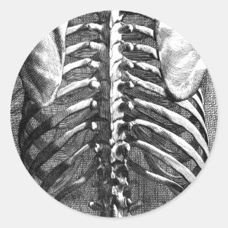 Pegatina Redonda Dibujo vintage de una columna vertebral y una cint