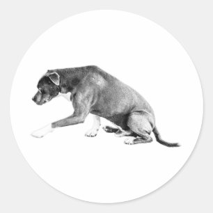 Pegatina Redonda Die-Cut Pawshake—Pitbull Mix