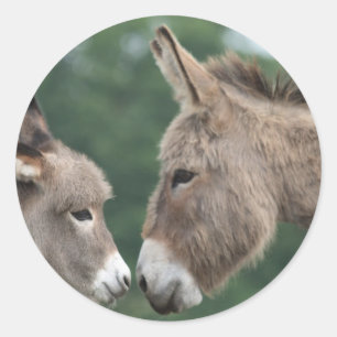 Pegatina Redonda Dinky Donkey