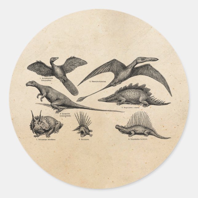 Pegatina Redonda Dinosaurios retro Ilustracion de dinosaurios vinta (Anverso)