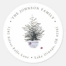 Dirección de devolución de árbol de navidad de col