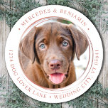 Pegatina Redonda Dirección de devolución del Boda de oro del Rosa d<br><div class="desc">Añada el toque final a sus invitaciones de boda con esta foto personalizado y etiquetas de dirección personalizadas. Personalizar con tu foto, nombres y dirección favoritos. Estas elegantes etiquetas de dirección se pueden utilizar para cualquier ocasión. DERECHOS RESERVADOS © 2020 Judy Burrows, Black Dog Art - Todos los derechos reservados....</div>