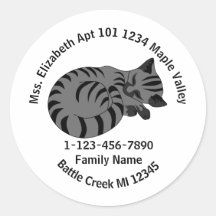 Dirección de la casa familiar Gray Tabby Kitten