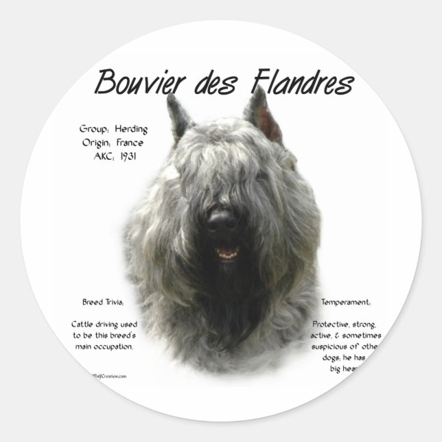 Pegatina Redonda Diseño de historia Bouvier des Flandres (Anverso)