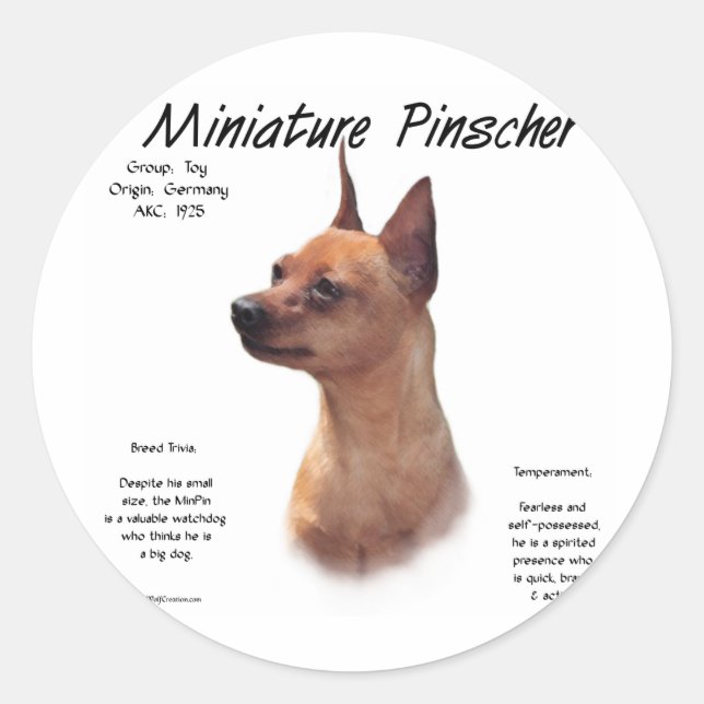 Pegatina Redonda Diseño de historia de Pinscher en miniatura (rojo) (Anverso)