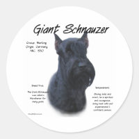 Diseño de historia de Schnauzer gigantes