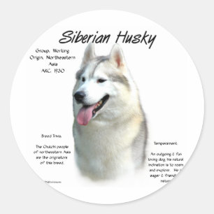 Pegatina Redonda Diseño de historia Husky Siberiano