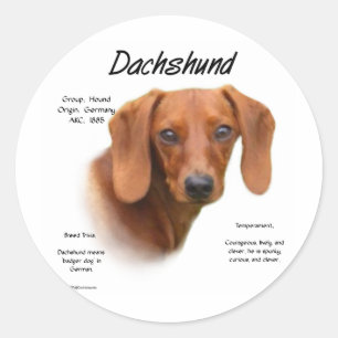 Pegatina Redonda Diseño de historial Dachshund (suave)