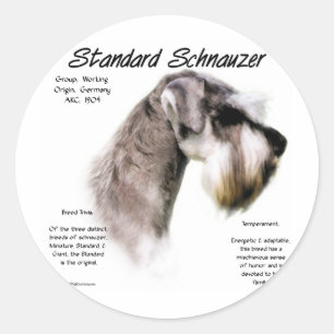 Pegatina Redonda Diseño de historial de Schnauzer estándar
