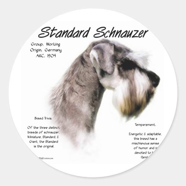 Pegatina Redonda Diseño de historial de Schnauzer estándar (Anverso)