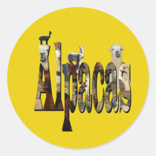 Pegatina Redonda Diseño de la Alpaca Amarilla Específica,