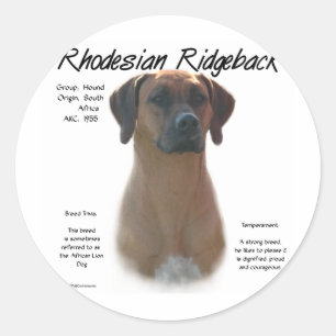 Pegatina Redonda Diseño de la historia de Rhodesian Ridgeback