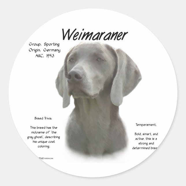 Pegatina Redonda Diseño de la historia de Weimaraner (Anverso)