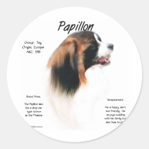 Pegatina Redonda Diseño de la historia del papilón (faleno)