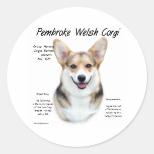 Pegatina Redonda Diseño de la historia del Pembroke Welsh Corgi