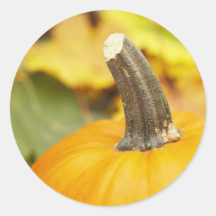 Pegatina Redonda Diseño de otoño