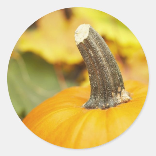 Pegatina Redonda Diseño de otoño (Anverso)