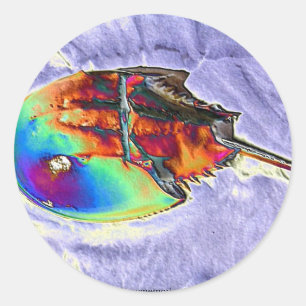 Pegatina Redonda Diseño del Relieve metalizado del cangrejo de