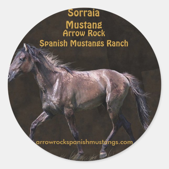 Pegatina Redonda Diseño equino de amante de los caballos (Anverso)