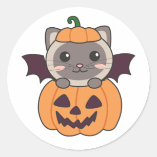 Pegatina Redonda Disfraz de bata de calabaza para gato de Halloween