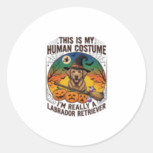 Pegatina Redonda Disfraz Humano Labrador Retriever Bruja de Hallowe