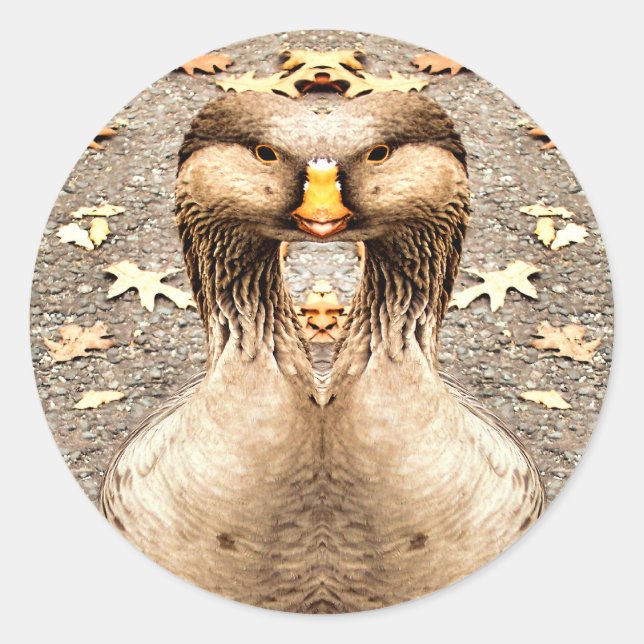 PEGATINA REDONDA DIVERSIÓN ANIMAL (Anverso)