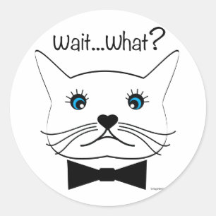 Pegatina Redonda Divertido Espera... ¿Qué? Gato cruzado, Guay