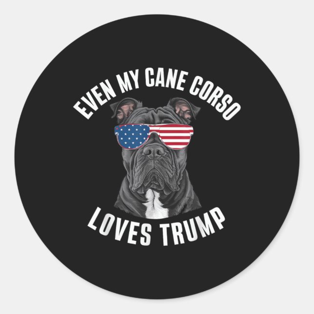 Pegatina Redonda Divertido incluso mi bastón Corso ama a Trump como (Anverso)