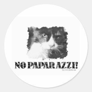Pegatina Redonda Divertido ningún gato de los paparazzis